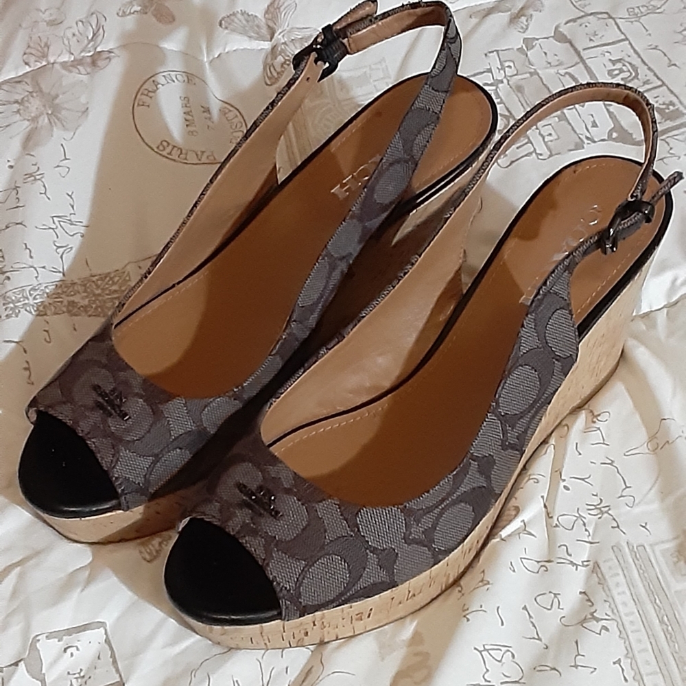 Coach Wedges